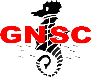 Gravesend &amp; Northfleet Swimming Club